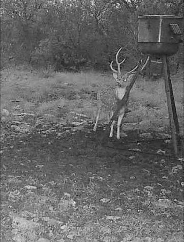 Lot 30 Sd 74230 Rocksprings TX 78880
