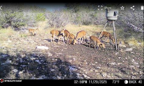 Lot 30 Sd 74230 Rocksprings TX 78880
