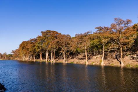174 Cedar Rock Trail Hunt TX 78024