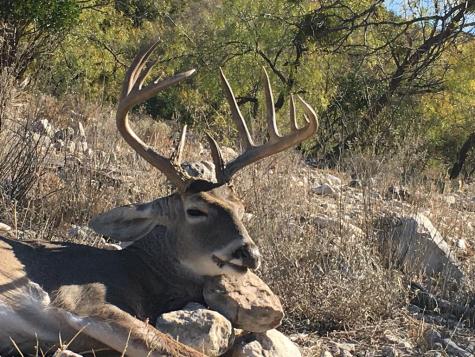 000 Pandale-langtry Co. Road Other TX 76943