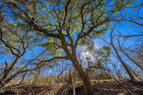 135 Rooster Ridge Kerrville TX 78028