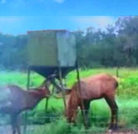 24729 County Road 310 Barksdale TX 78828