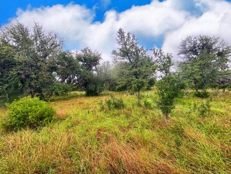 24729 County Road 310 Barksdale TX 78828