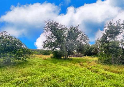 24729 County Road 310 Barksdale TX 78828