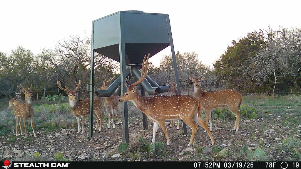 Tract 3 Dominion Road Roosevelt TX 76950