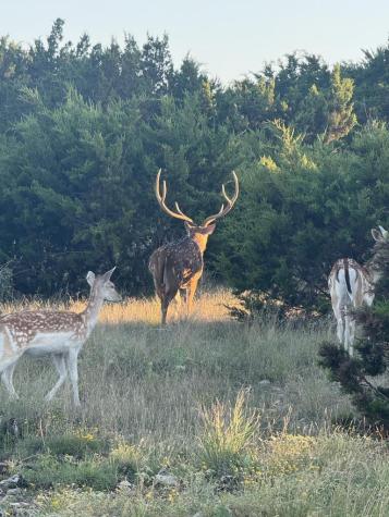 Tract 3 Dominion Road Roosevelt TX 76950