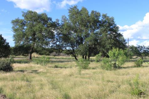 Tract 3 Dominion Road Roosevelt TX 76950