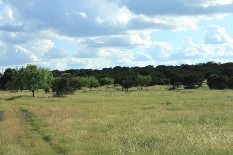 Tract 3 Dominion Road Roosevelt TX 76950