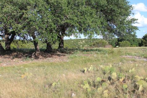 Tract 3 Dominion Road Roosevelt TX 76950