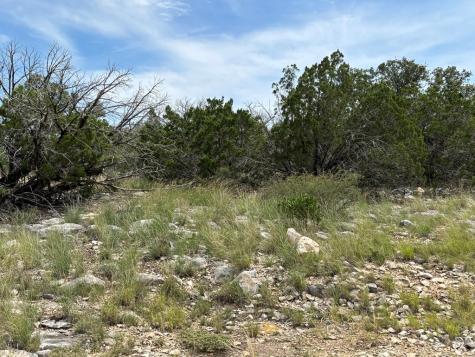 667 Other Rocksprings TX 78880