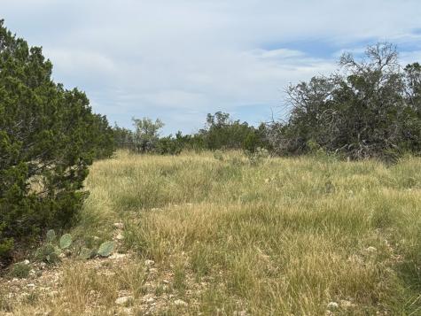 667 Other Rocksprings TX 78880