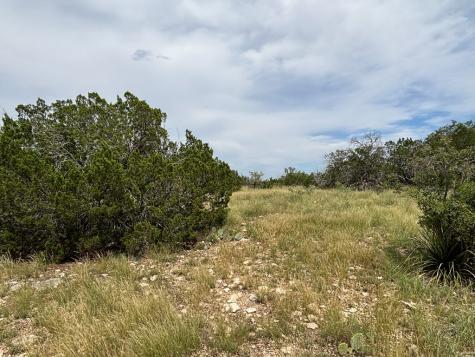 667 Other Rocksprings TX 78880
