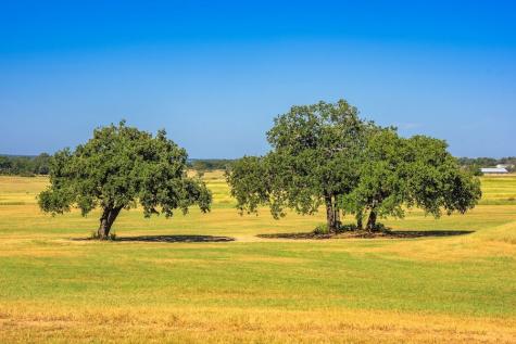 0 Sultemeier-moellering Fredericksburg TX 78624