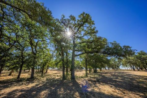 0 Sultemeier-moellering Fredericksburg TX 78624