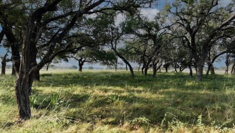 0 Sultemeier-moellering Fredericksburg TX 78624