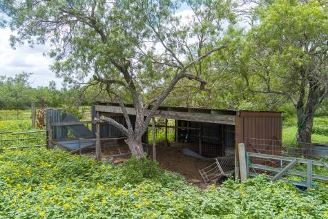 4515 Stapper Road Saint Hedwig TX 78152