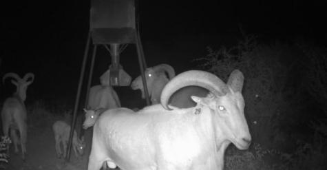 3223 Sd Fm 674 Rocksprings TX 78880