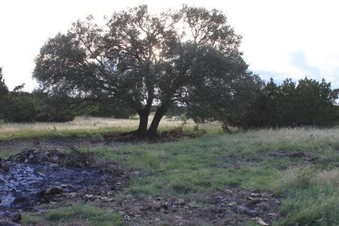 1187 Other Sonora TX 76950