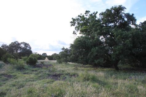 1187 Other Sonora TX 76950