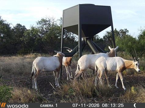 1187 Other Sonora TX 76950