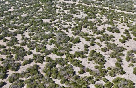4284 Tasajillo Trail Eldorado TX 76936