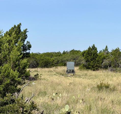 4284 Tasajillo Trail Eldorado TX 76936
