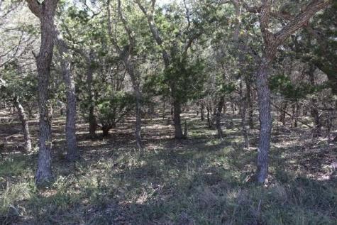 317 Swayze Road Utopia TX 78884