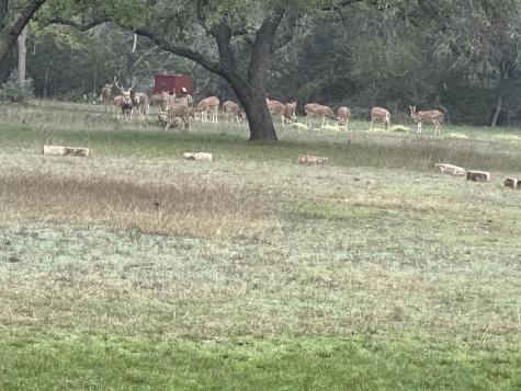 196 Rock Bottom Road Hunt TX 78024