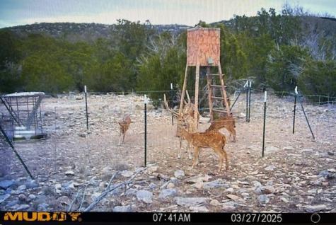 74,75,76 Other Rocksprings TX 78880