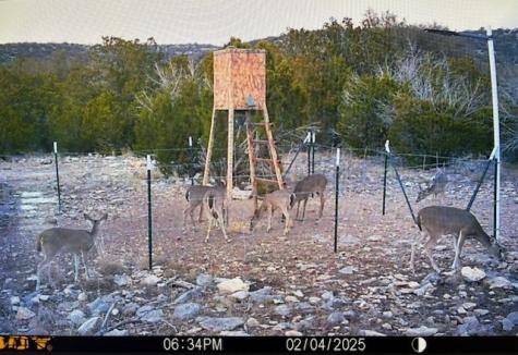 74,75,76 Other Rocksprings TX 78880