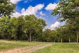 0 Highway 39 Hunt TX 78024