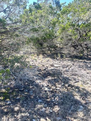 527 Arrow Head Leakey TX 78873