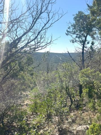 527 Arrow Head Leakey TX 78873