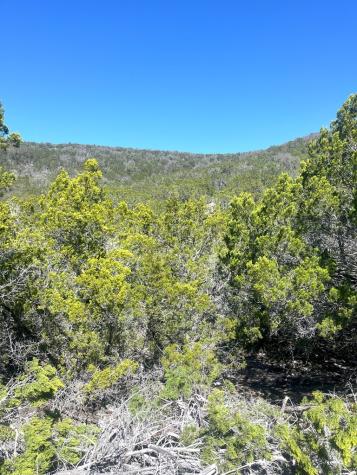 527 Arrow Head Leakey TX 78873