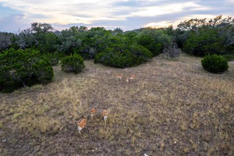Rocksprings TX 78880