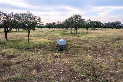 Rocksprings TX 78880