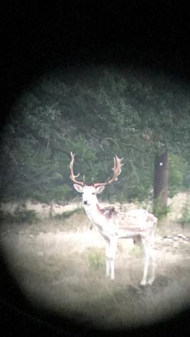 Rocksprings TX 78880