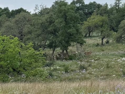 181 Colinas Drive Kerrville TX 78028