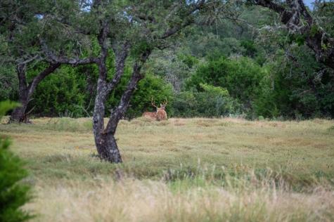 0 El Rincon Road Mountain Home TX 78058