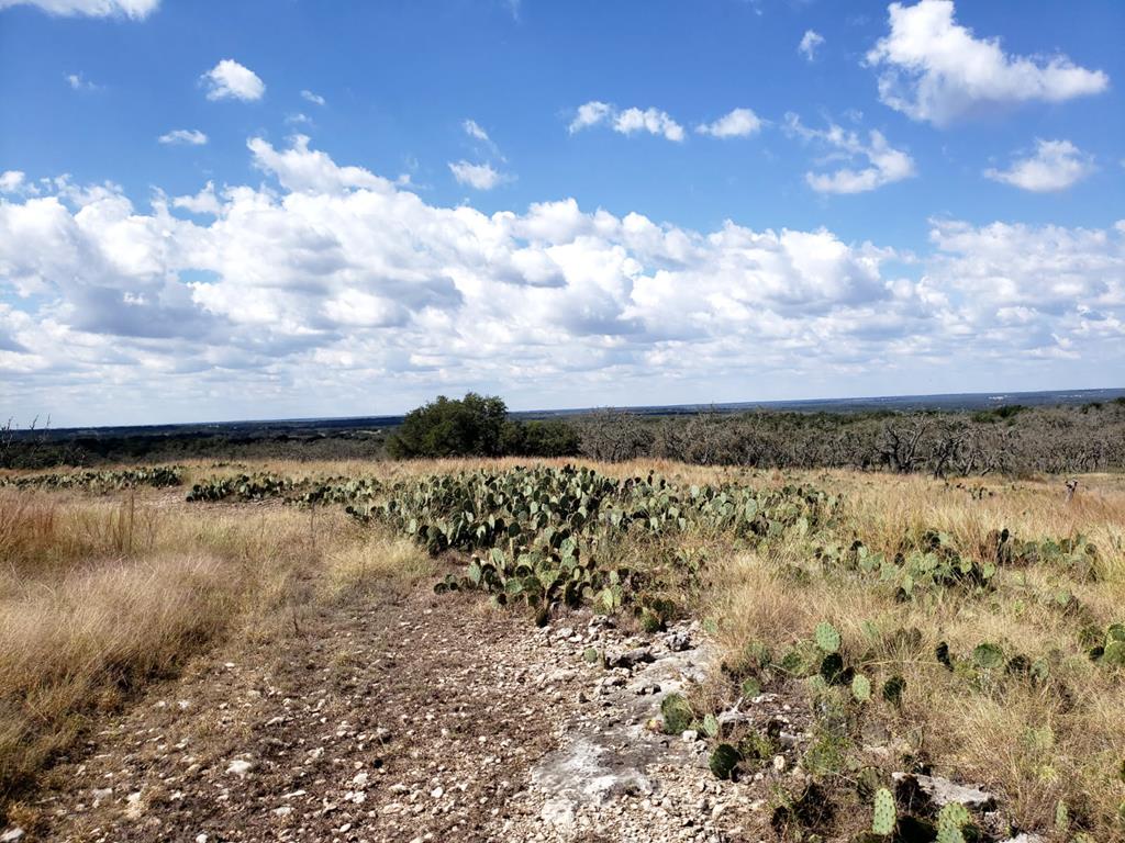 18885 Rr 479 Harper TX 78631