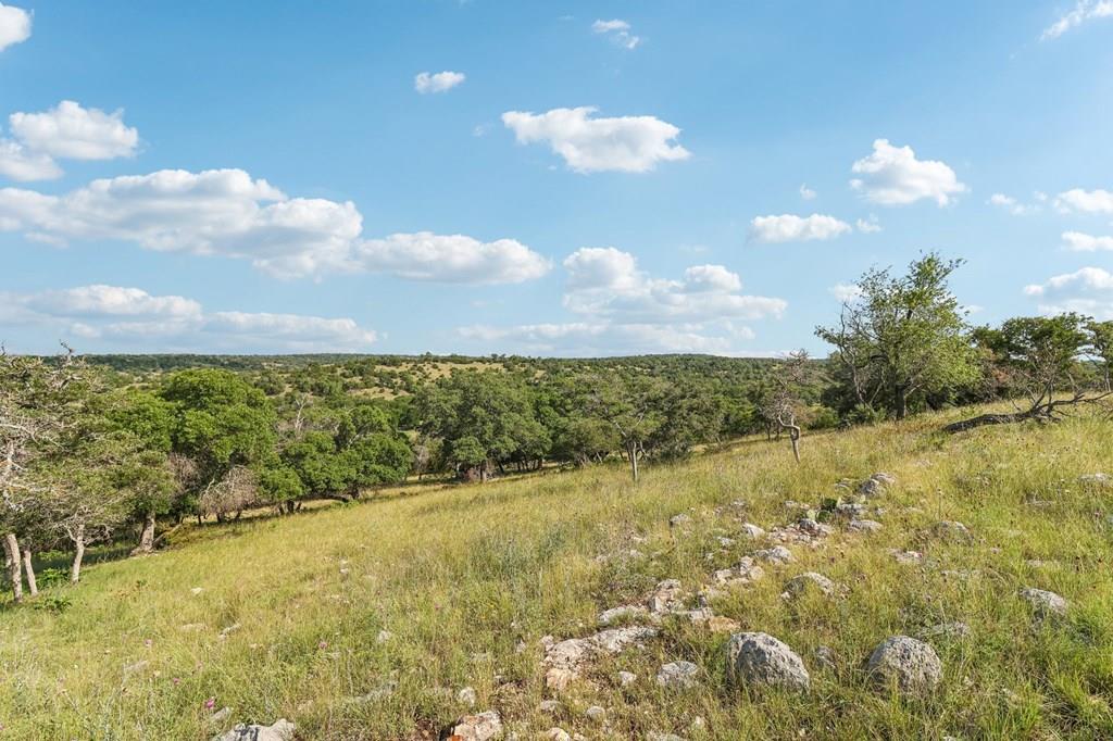 00 Old Comfort Road Fredericksburg TX 78624