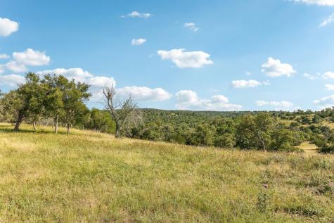 00 Old Comfort Road Fredericksburg TX 78624