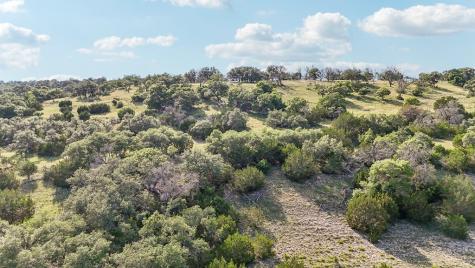 00 Old Comfort Road Fredericksburg TX 78624