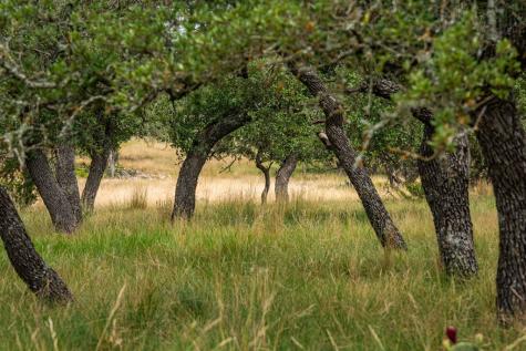 Lot 33 Nott Branch Road Harper TX 78631