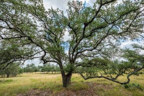 Lot 33 Nott Branch Road Harper TX 78631