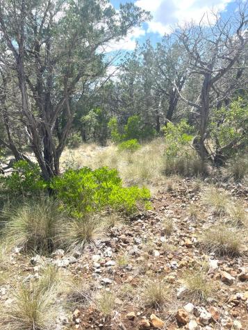 854 Pole Cave Creek Road Leakey TX 78873