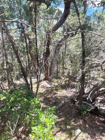 854 Pole Cave Creek Road Leakey TX 78873