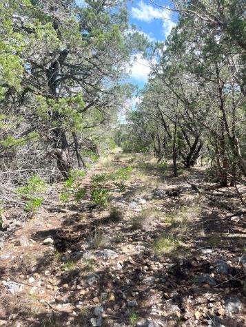 854 Pole Cave Creek Road Leakey TX 78873