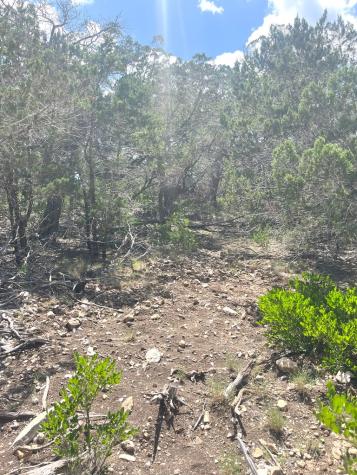 854 Pole Cave Creek Road Leakey TX 78873