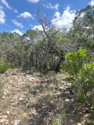 854 Pole Cave Creek Road Leakey TX 78873